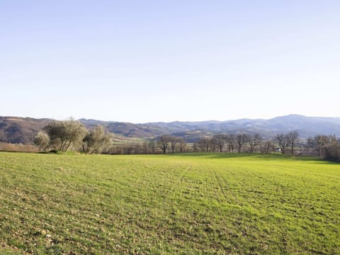 House | View from property