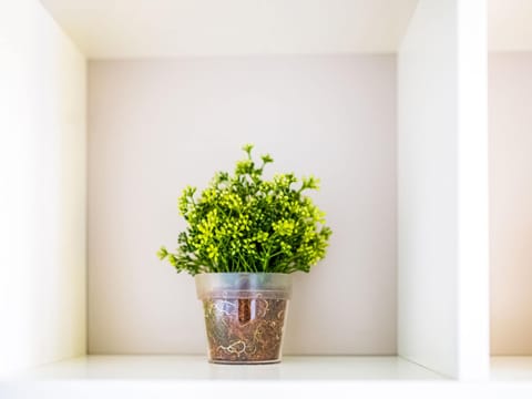 House | Interior detail