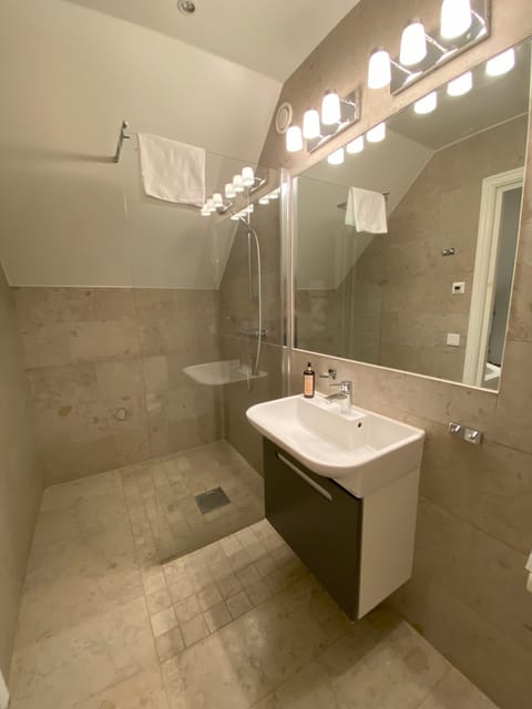 Superior Double Room | Bathroom | Shower, designer toiletries, hair dryer, towels