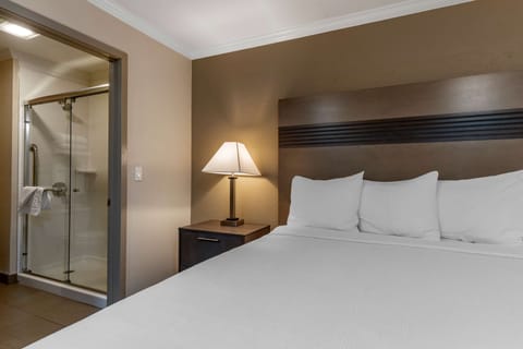 Standard Room, 1 King Bed, Non Smoking, Refrigerator & Microwave (Shower Only) | Desk, laptop workspace, blackout drapes, iron/ironing board