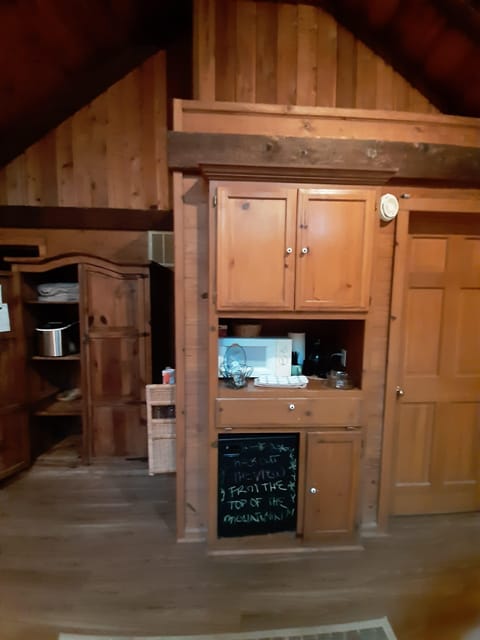 Echota Suite | Private kitchen | Microwave, coffee/tea maker, ice maker, paper towels