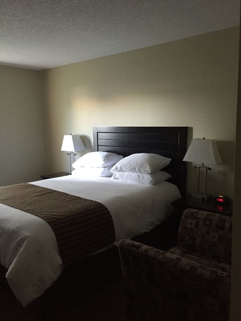 Room, 1 Queen Bed | Desk, rollaway beds, free WiFi, bed sheets