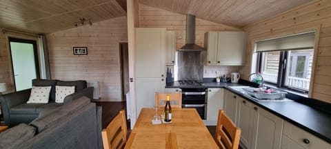 Open plan kitchen diner