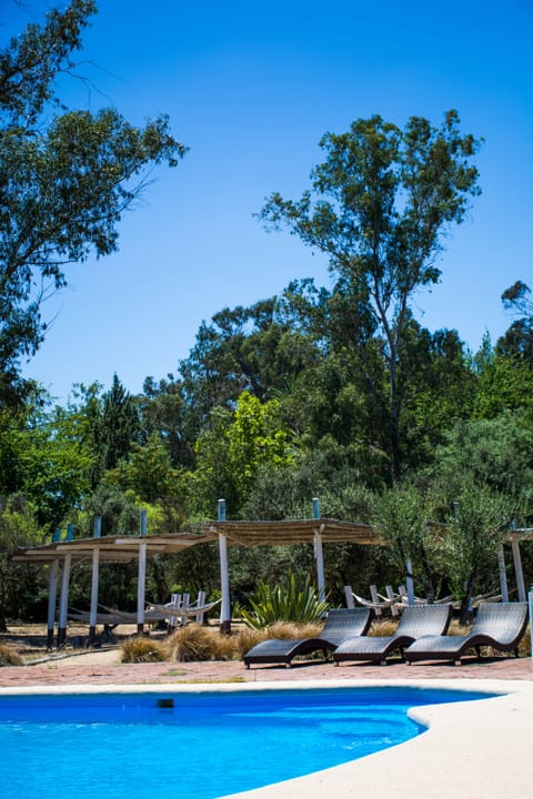 Seasonal outdoor pool, pool umbrellas, sun loungers