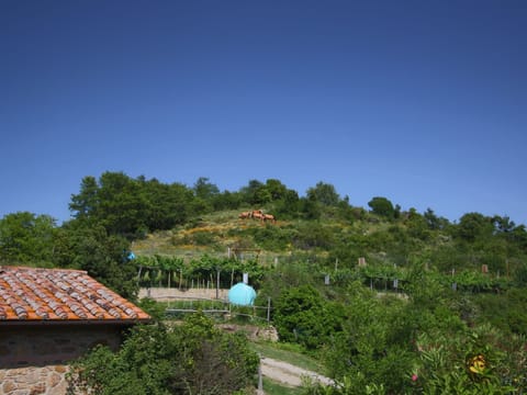 House | View from property