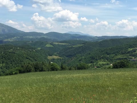 House | View from property