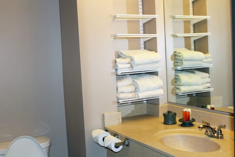 Combined shower/tub, free toiletries, hair dryer, towels