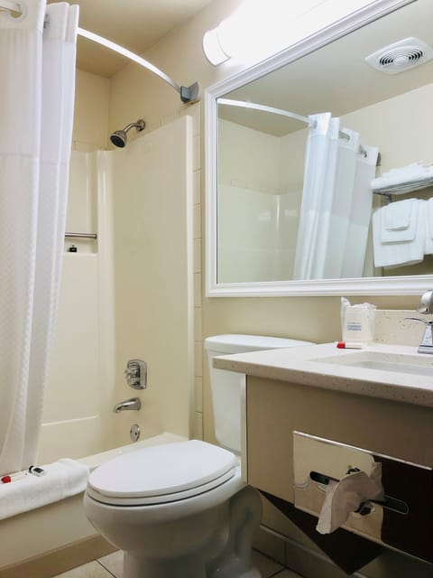 Combined shower/tub, free toiletries, hair dryer, towels