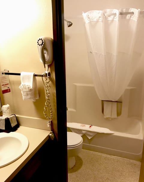 Combined shower/tub, free toiletries, towels