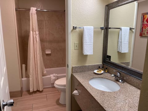 Combined shower/tub, free toiletries, hair dryer, towels