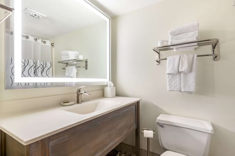 Executive Suite, 1 King Bed, Non Smoking, Refrigerator & Microwave (with Sofabed) | Bathroom | Combined shower/tub, hair dryer, towels