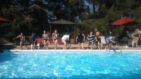 Seasonal outdoor pool, pool umbrellas, sun loungers