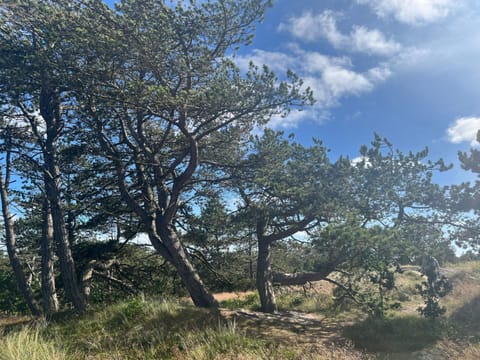 House | Miscellaneous