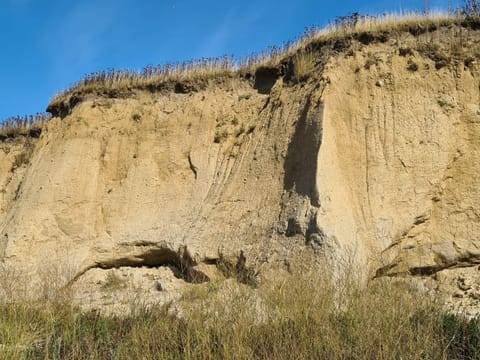 House | Miscellaneous