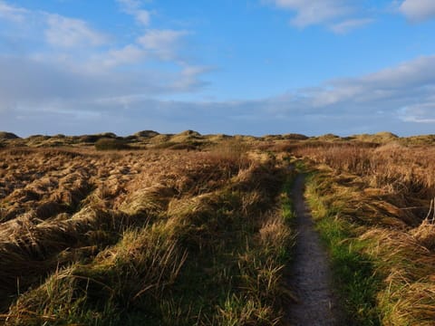 House | Miscellaneous