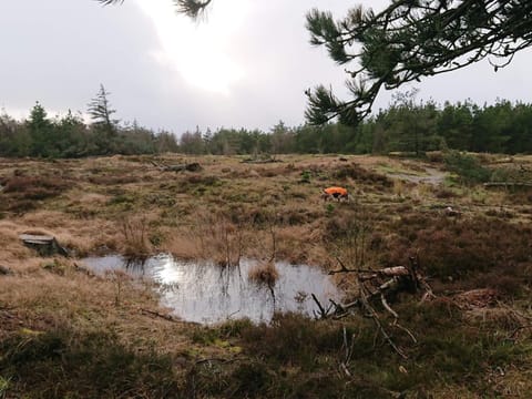 Apartment | Miscellaneous