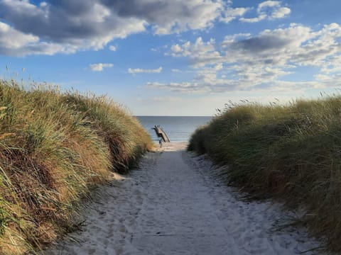 House | Beach