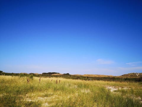 House | Miscellaneous