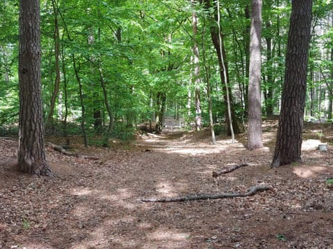 House | Miscellaneous