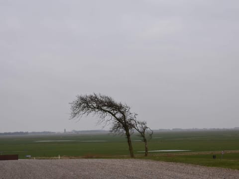 House | Miscellaneous