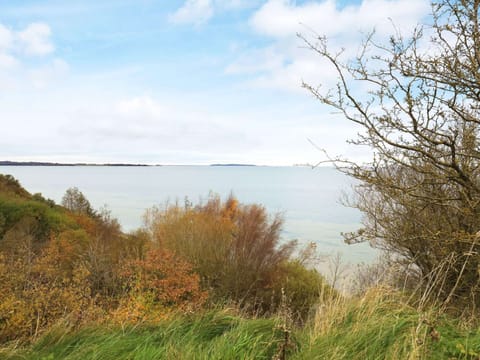 House | Miscellaneous