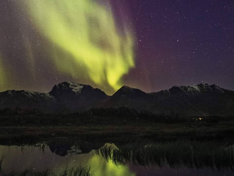 Apartment | Lake view