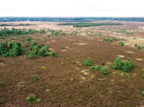 House | Miscellaneous