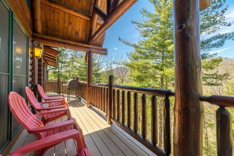 Peaceful forest views