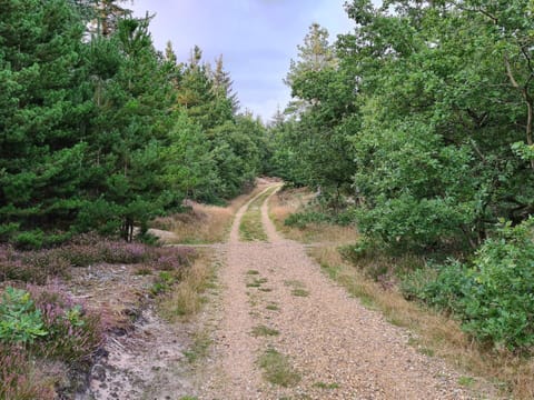 House | Miscellaneous