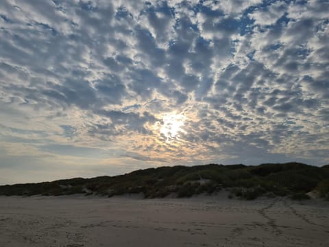 House | Miscellaneous