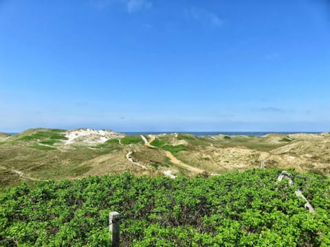 House | Miscellaneous