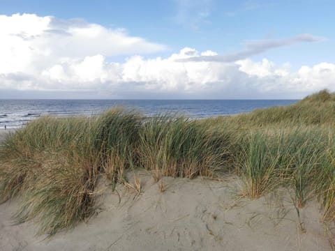 House | Beach