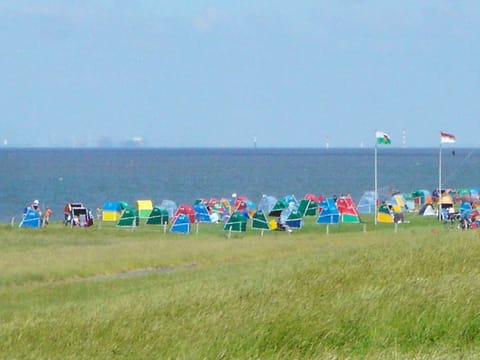 House | Miscellaneous