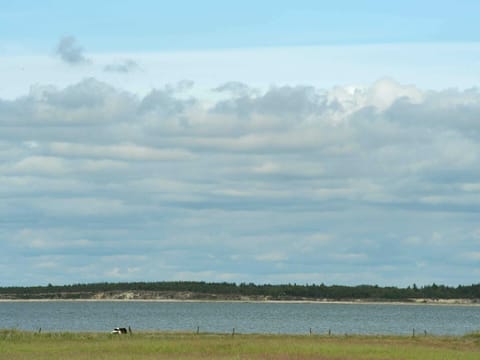 House | View from property