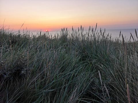 House | Miscellaneous