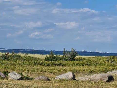 House | Miscellaneous