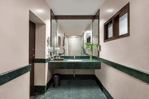 Ganga View Room | Bathroom | Shower, free toiletries, hair dryer, towels