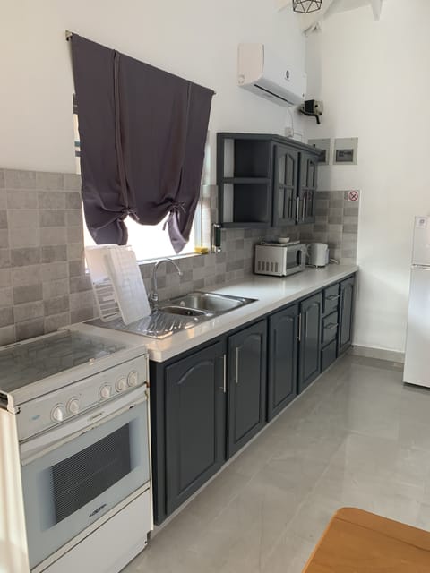 Deluxe Apartment, 1 Bedroom, Kitchen | Private kitchen | Full-size fridge, microwave, stovetop, electric kettle