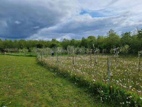 House | Miscellaneous