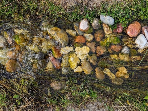 House | Miscellaneous