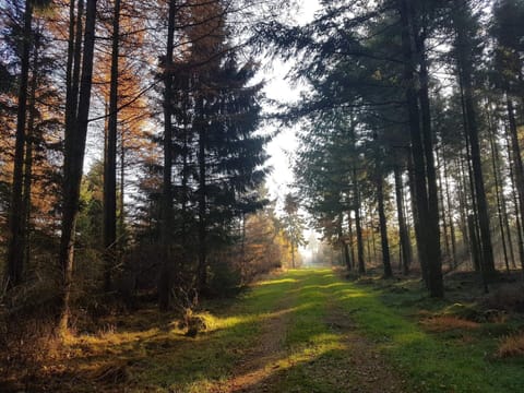 House | Miscellaneous