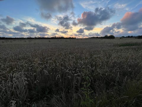 House | Miscellaneous