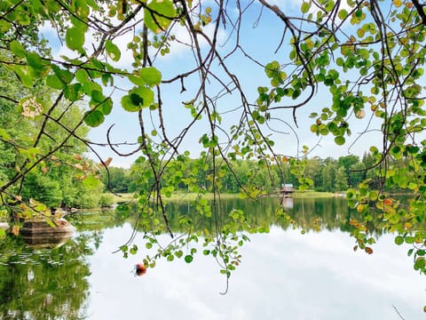 House | Miscellaneous