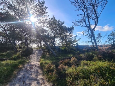 House | Miscellaneous