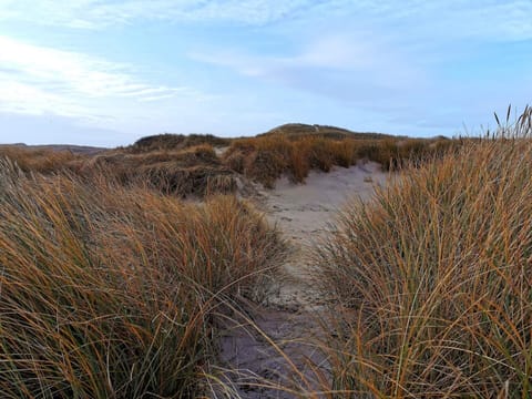 House | Miscellaneous