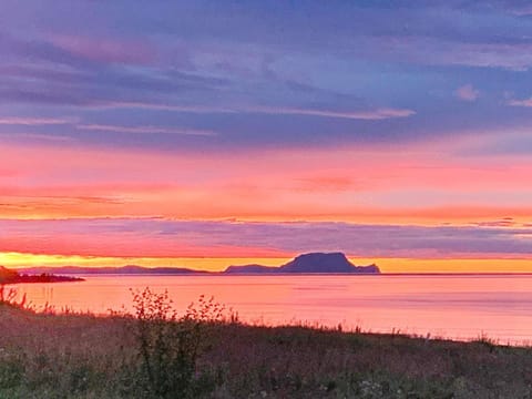 House | Miscellaneous