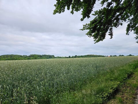 House | Miscellaneous