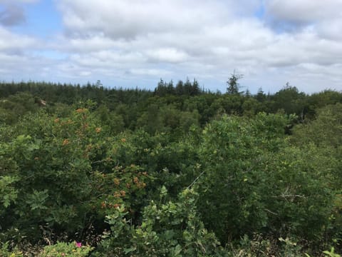 House | Miscellaneous