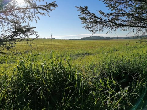 House | Miscellaneous