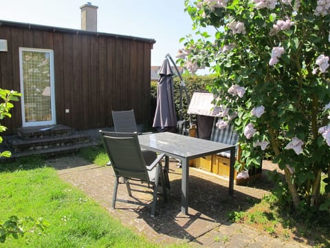 Plant, Property, Building, Table, Shade, Land Lot, Architecture, Tree, Wood, Sky